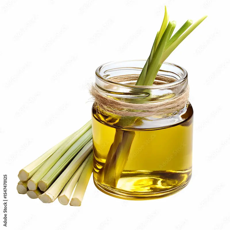 Lemongrass Ayurvedic Uses, Benefits, and Side Effects